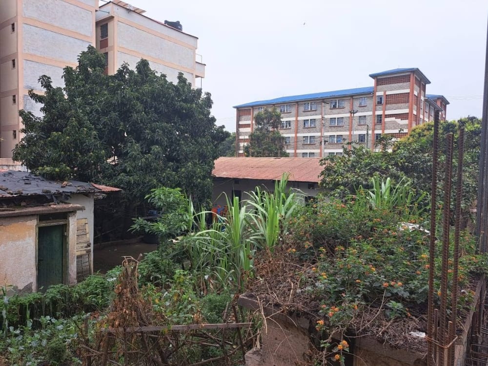 Land for sale in South B