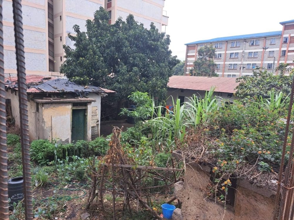 Land for sale in South B