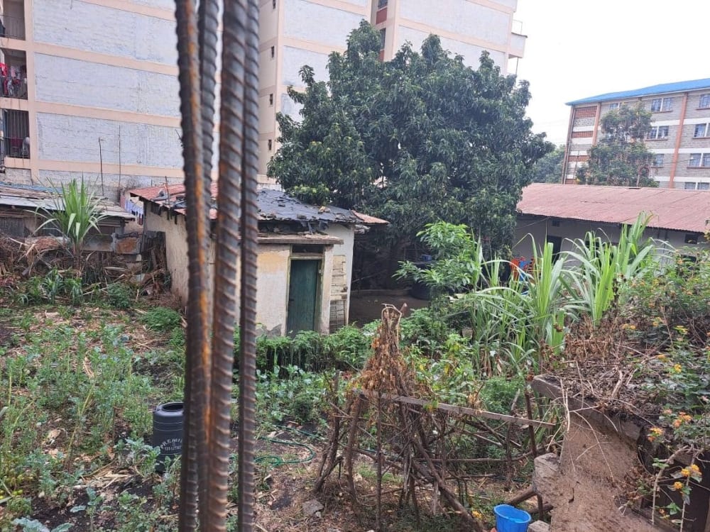 Land for sale in South B