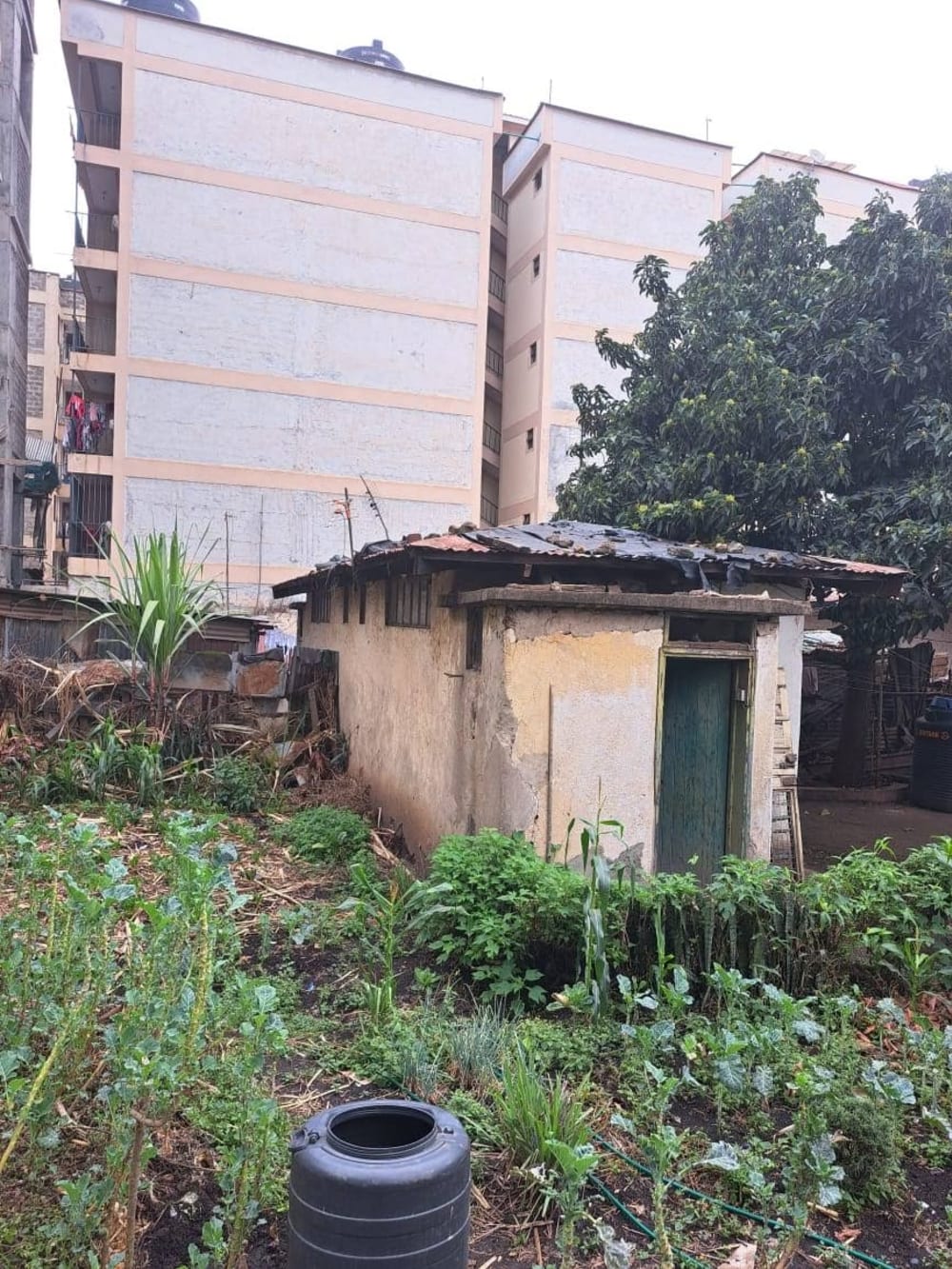 Land for sale in South B