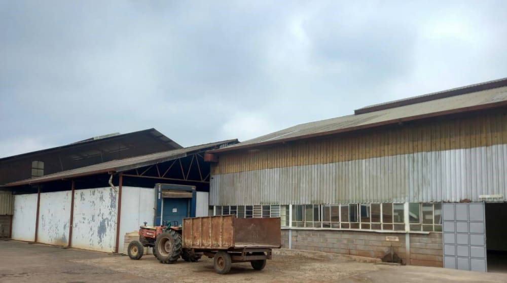 Commercial for rent in Muthiga Regen