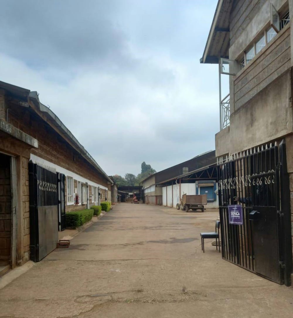 Commercial for rent in Muthiga Regen