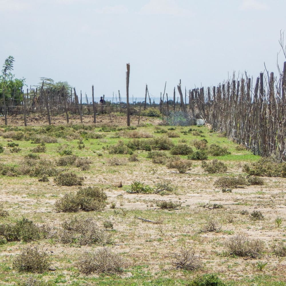 Land for sale in 25 Minutes from Nanyuki Town