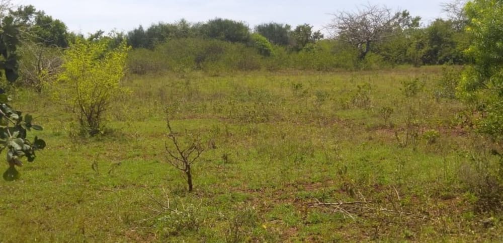 Land for sale in Sagana Baraka Gardens Phase