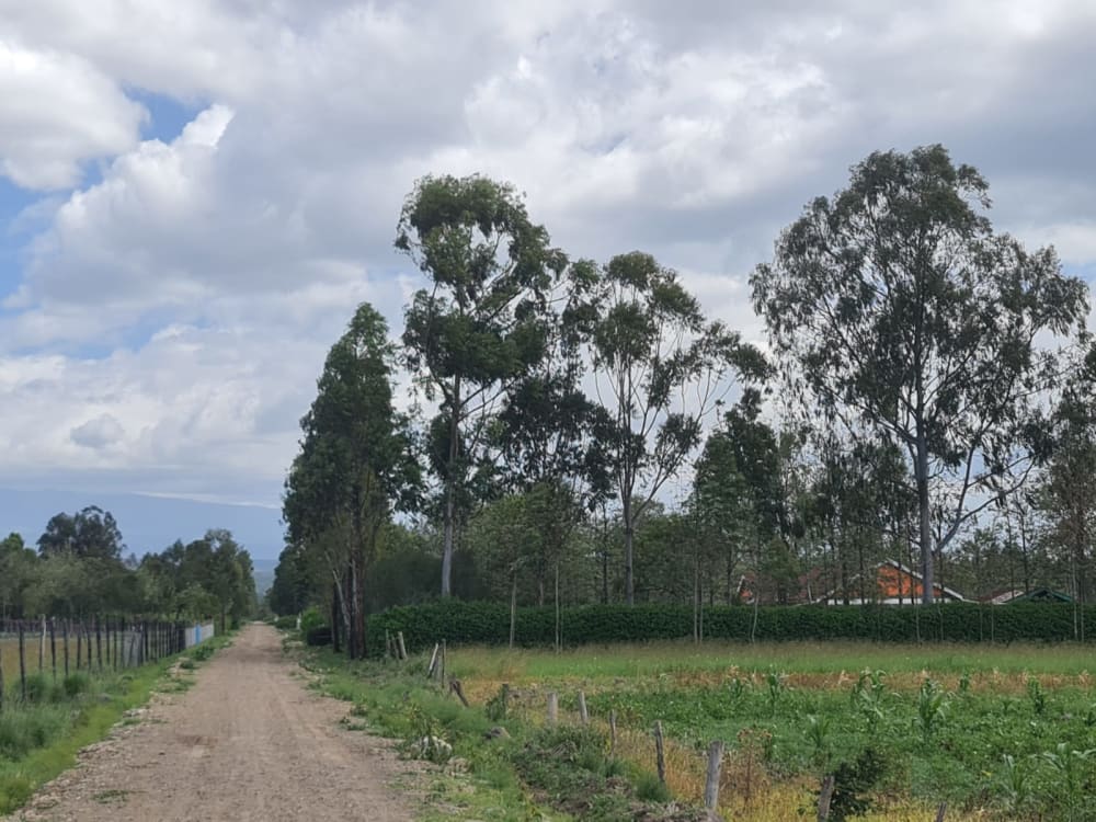 Land for sale in Grey Oak - Nanyuki