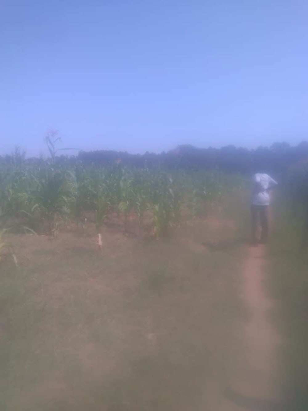 Land for sale in Toro farm, Kitale