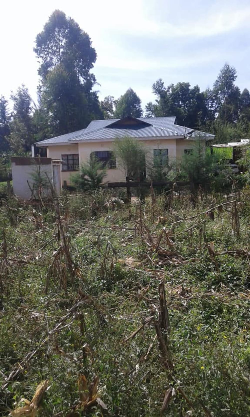 3 bedroom Land for sale in Kibomet, Kitale