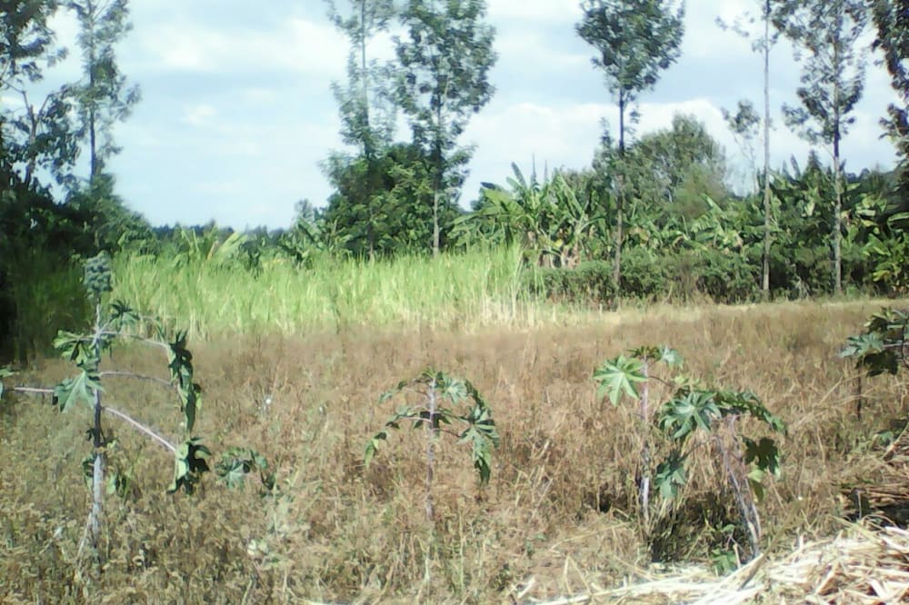 Land for sale in Bukembe