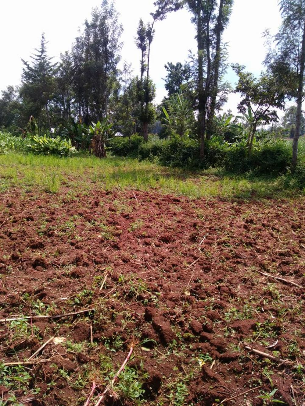 Land for sale in Kitale