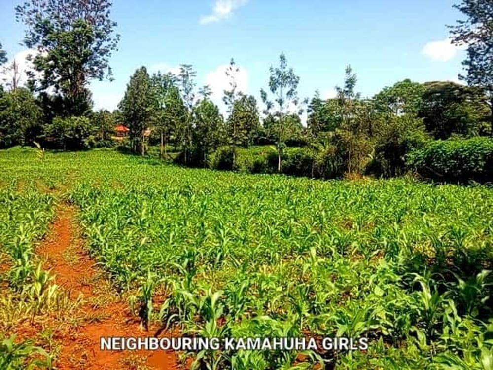 Land for sale in 1.5 Km from the Kenol-Sabasaba highway