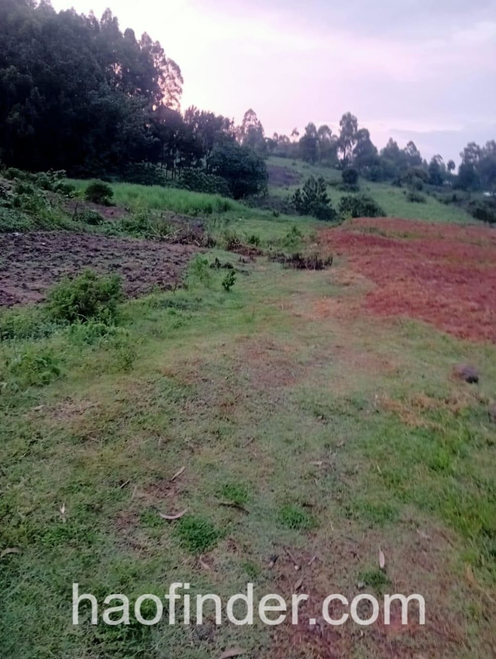 Land for sale in Kakamega