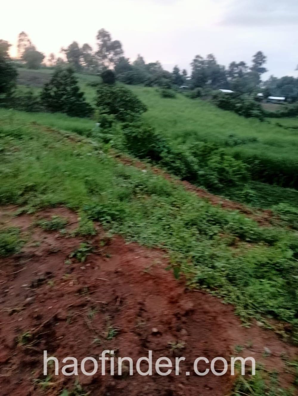 Land for sale in Kakamega