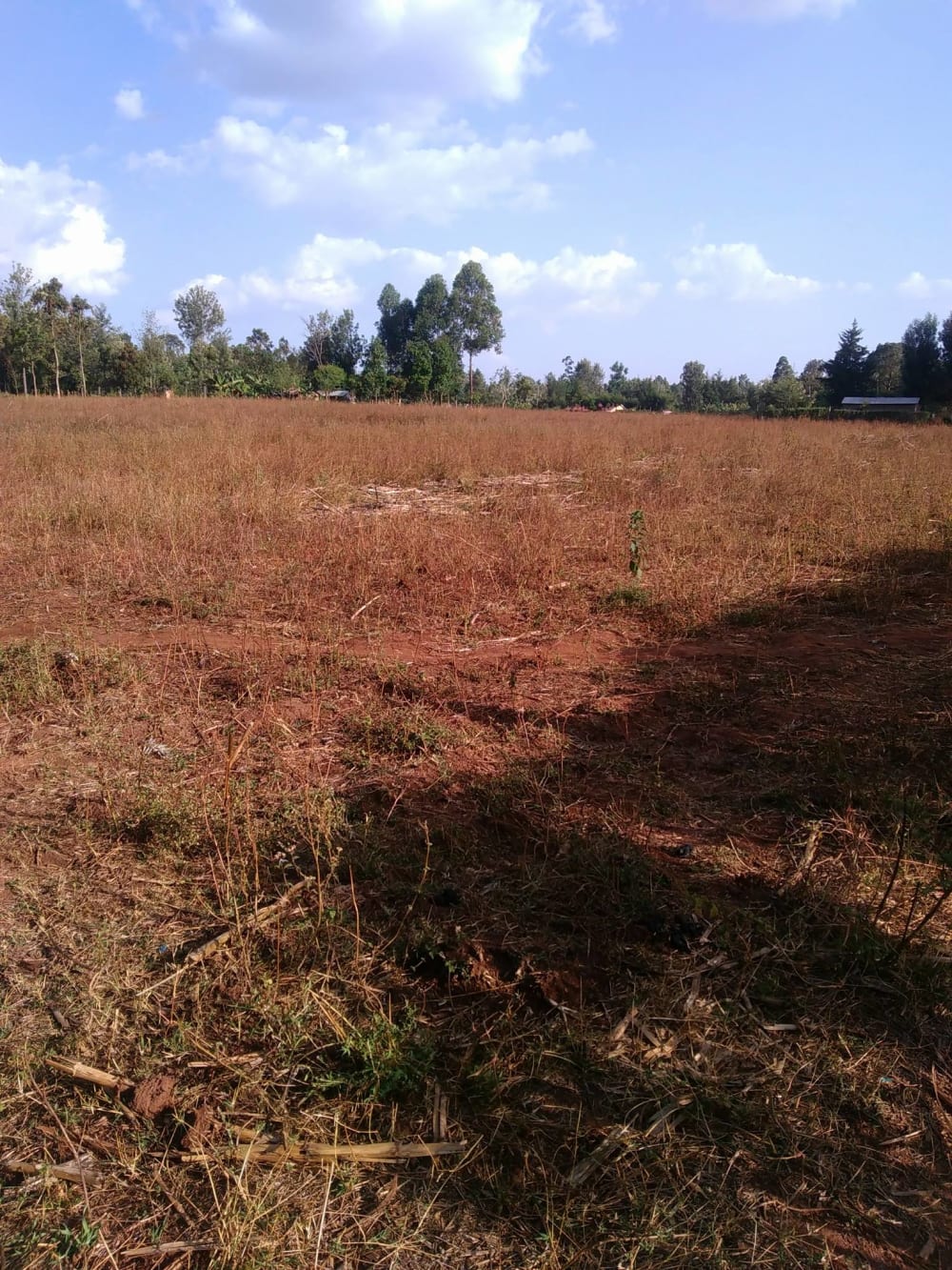Land for sale in Kitale