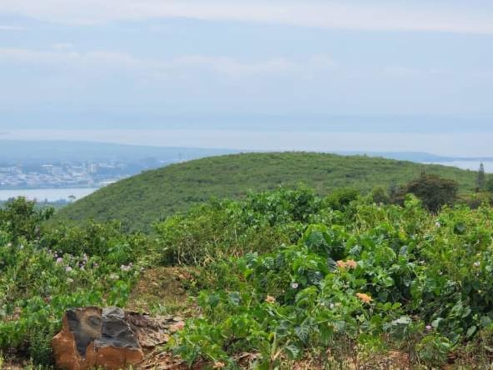 Land for sale in Kisumu - Nyahera