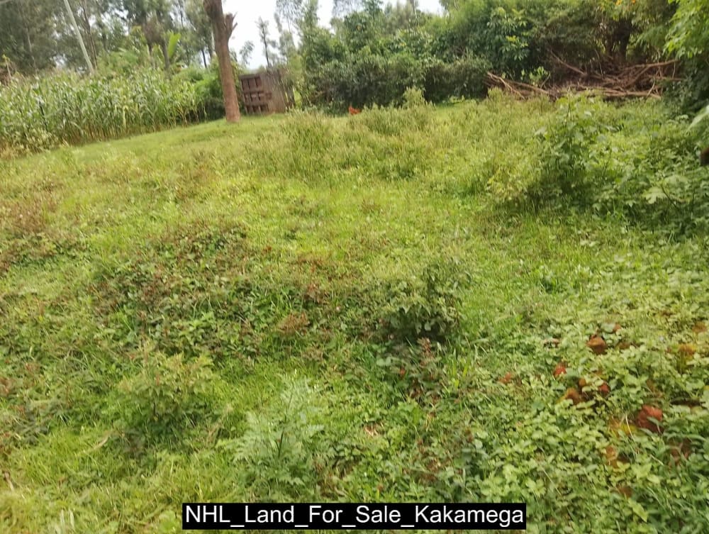 Land for sale in Sigalagala, Kakamega