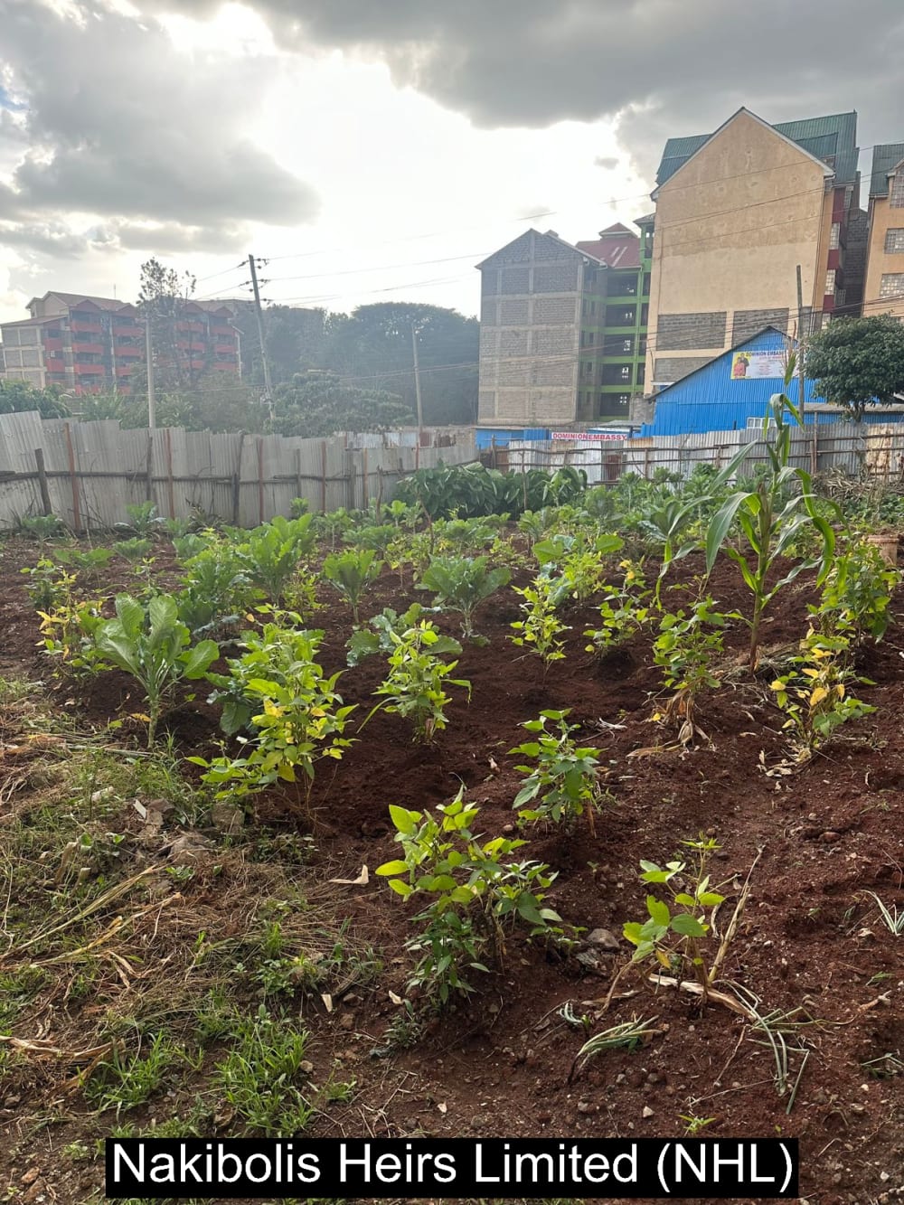 Land for sale in Ongata Rongai Town