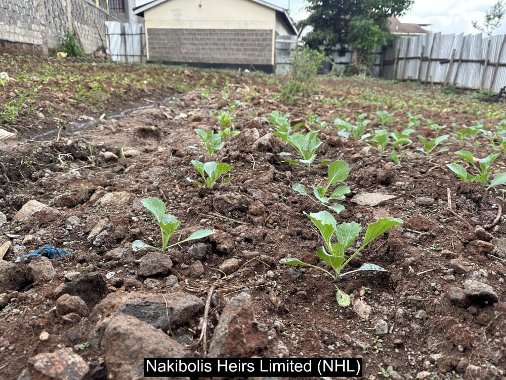 Land for sale in Ongata Rongai Town