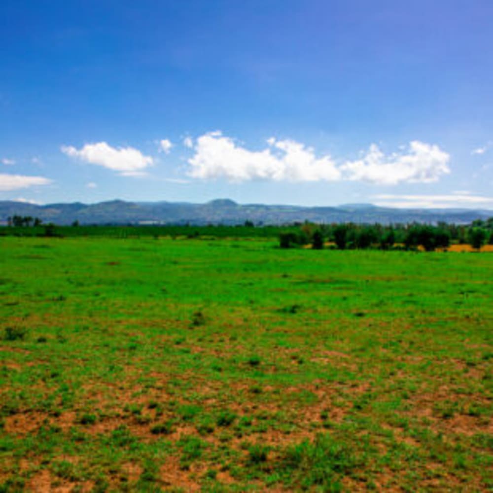 Land for sale in Near Nairobi