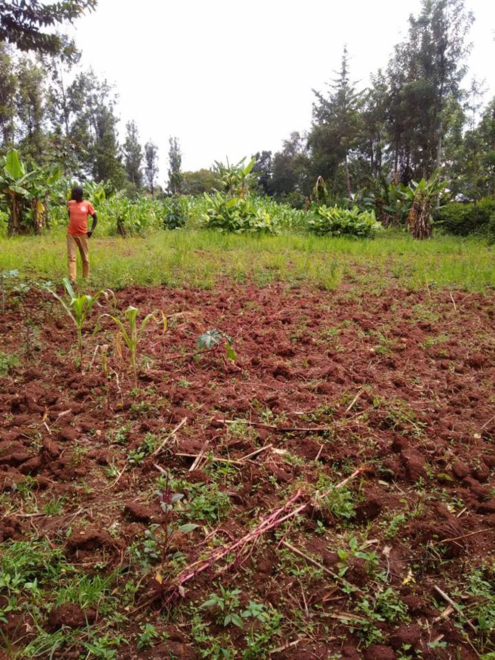 Land for sale in Kitale