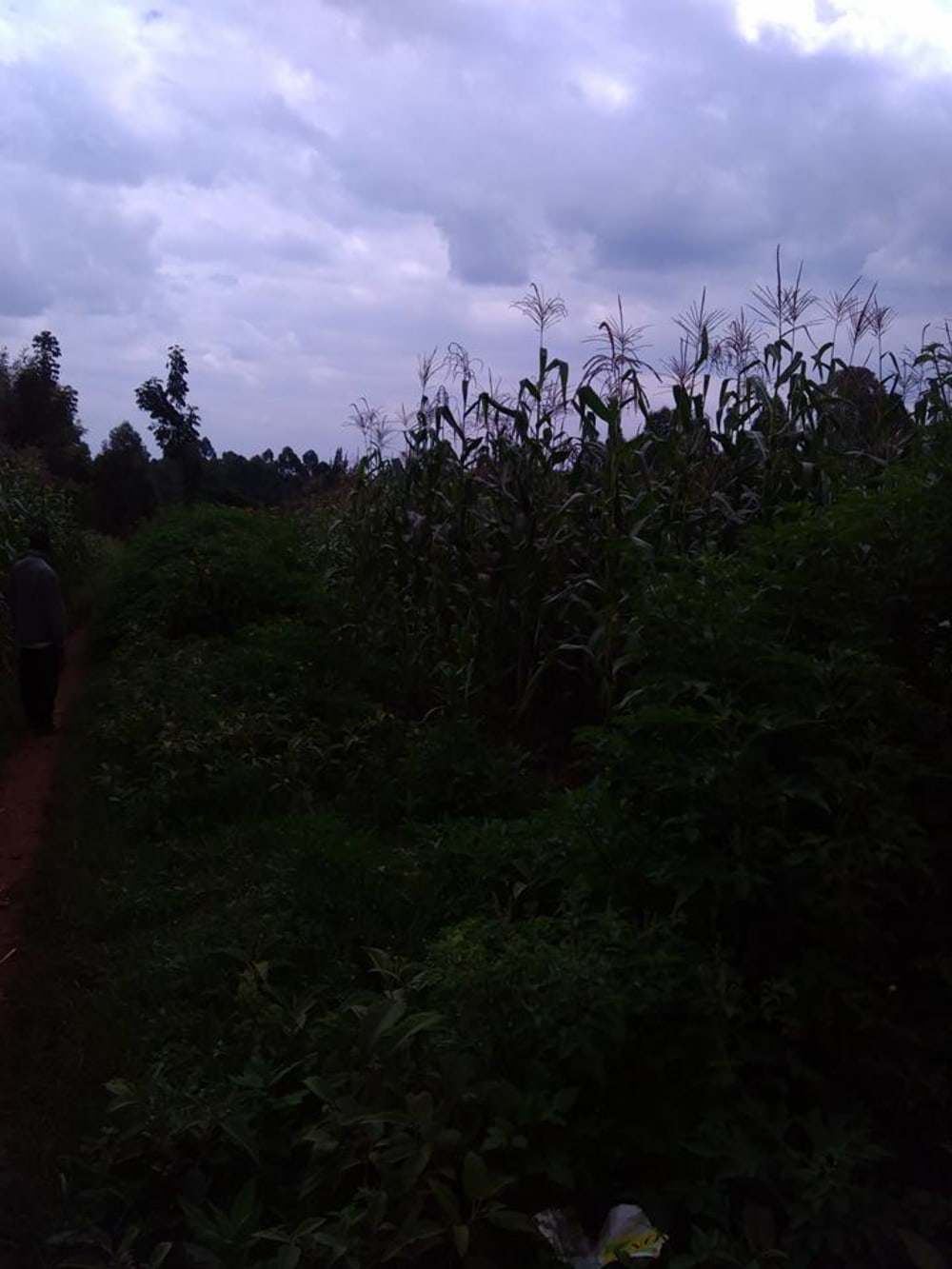 Land for sale in Kitale