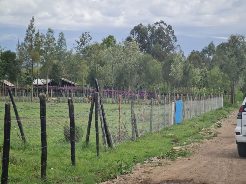 Land for sale in Grey Oak - Nanyuki