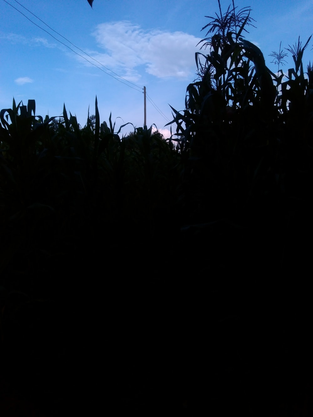 Land for sale in Kitale - Eldoret Road