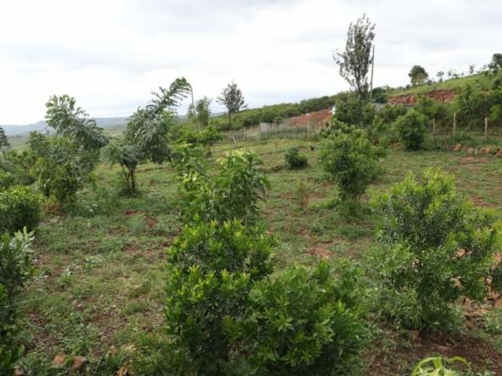 Land for sale in Kisumu - Riat Hills