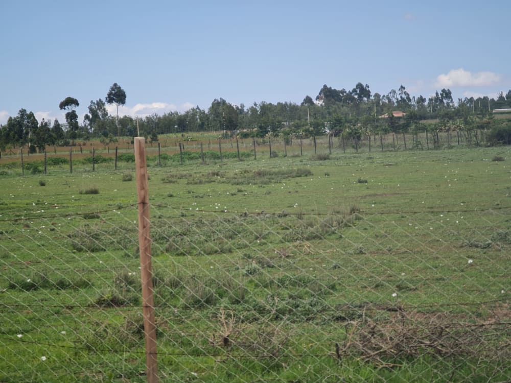 Land for sale in Grey Oak - Nanyuki