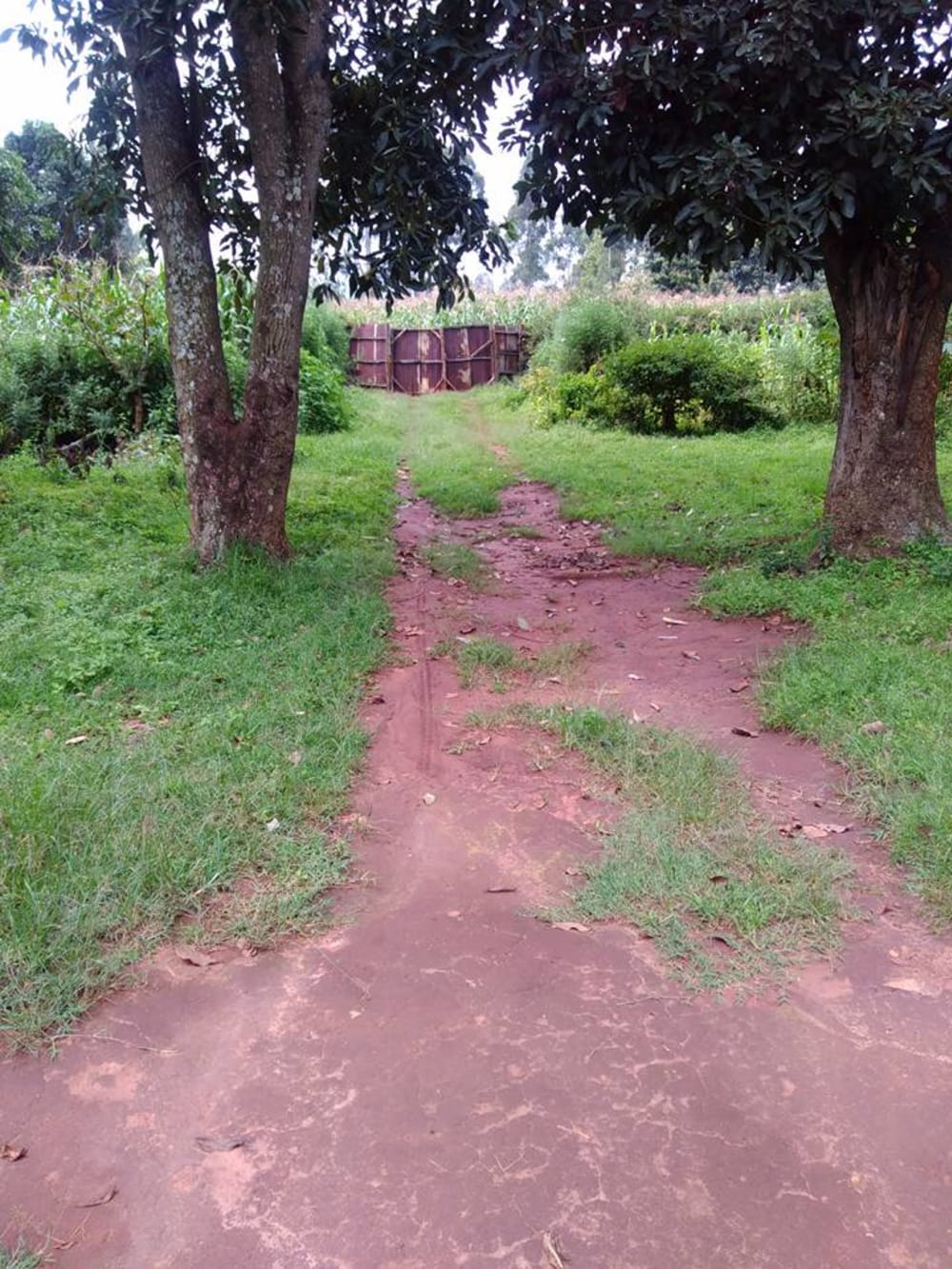 Land for sale in Kitale