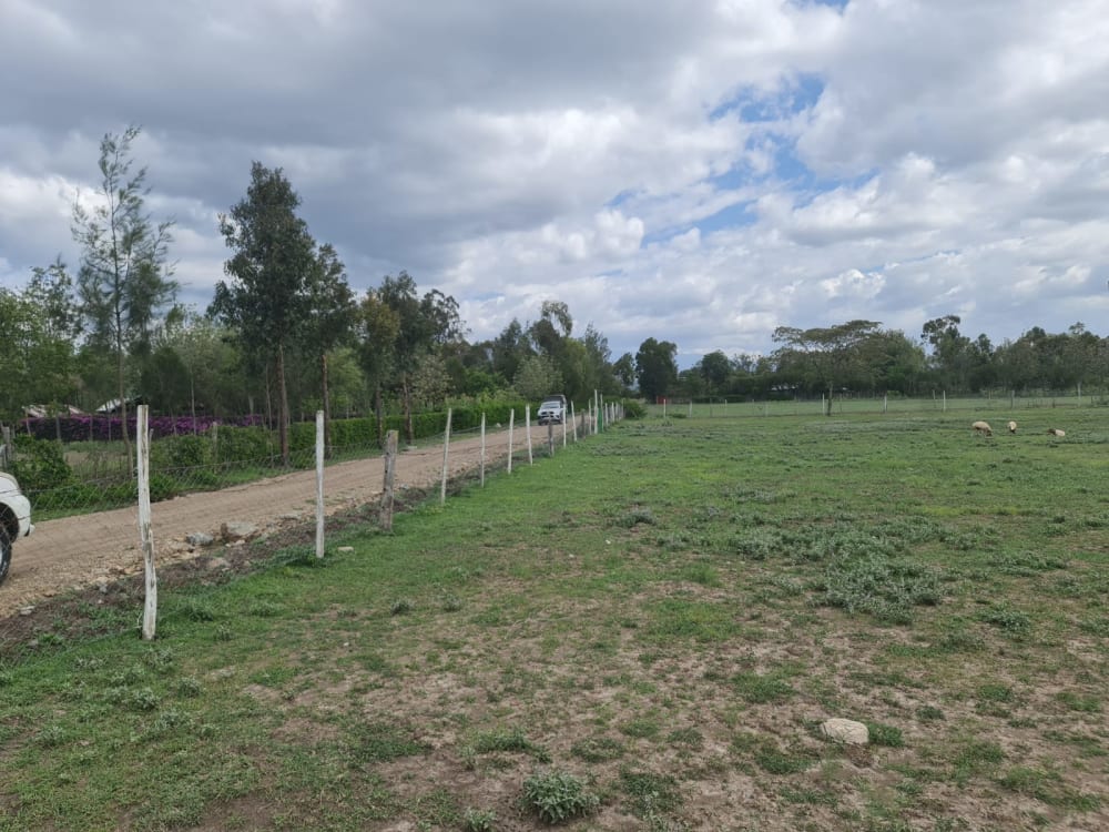 Land for sale in Grey Oak - Nanyuki