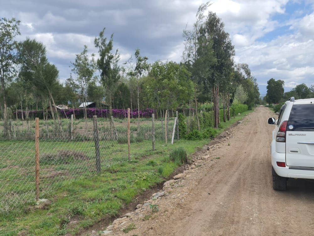 Land for sale in Grey Oak - Nanyuki