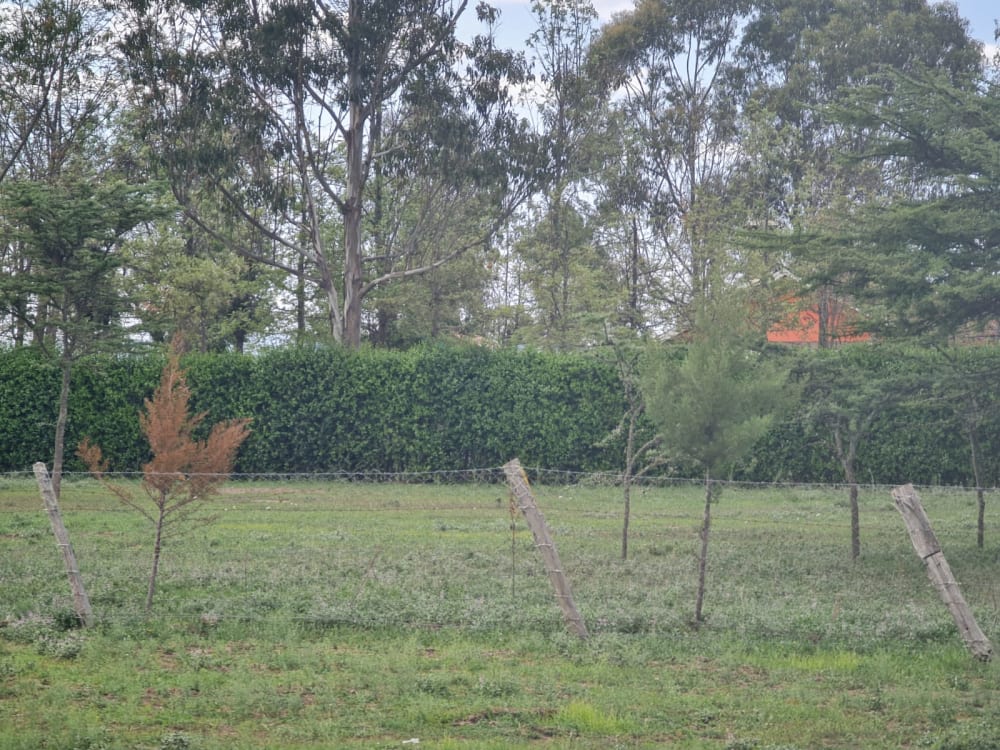 Land for sale in Grey Oak - Nanyuki