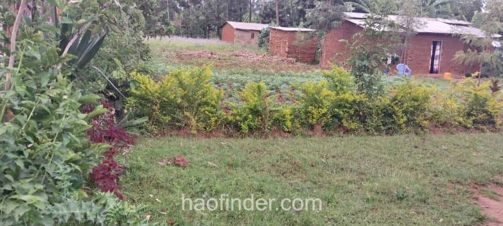 Land for sale in Bungoma