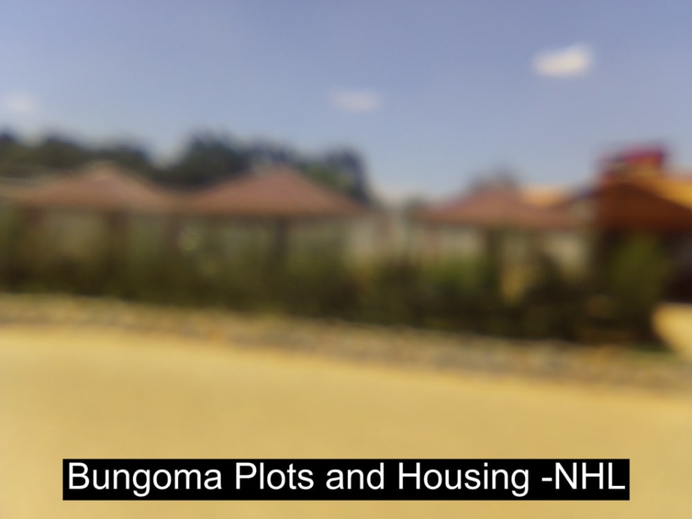 Commercial for rent in Bungoma