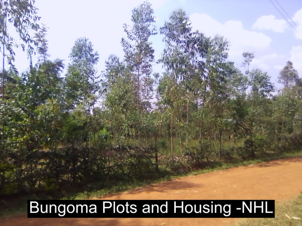 Land for sale in Bungoma