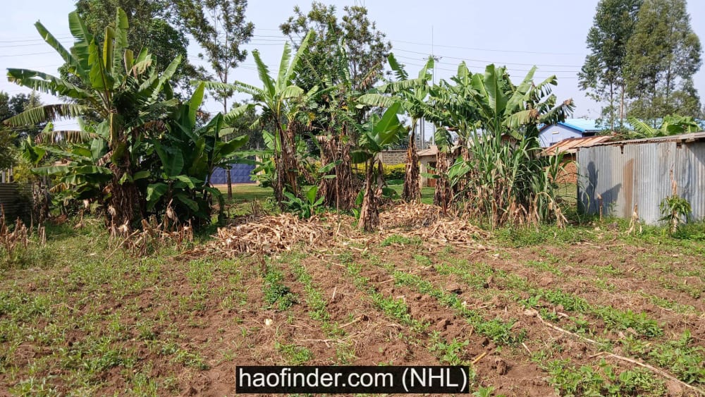 Land for sale in Bukembe market - Bungoma county