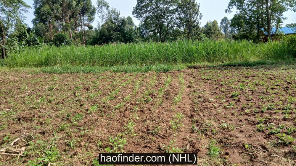 Land for sale in Bukembe market - Bungoma county