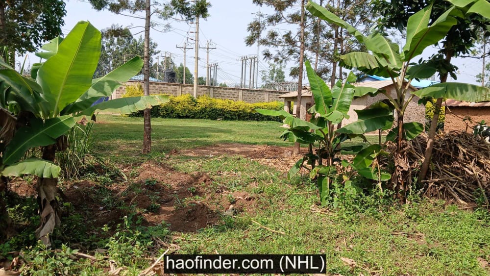 Land for sale in Bukembe market - Bungoma county
