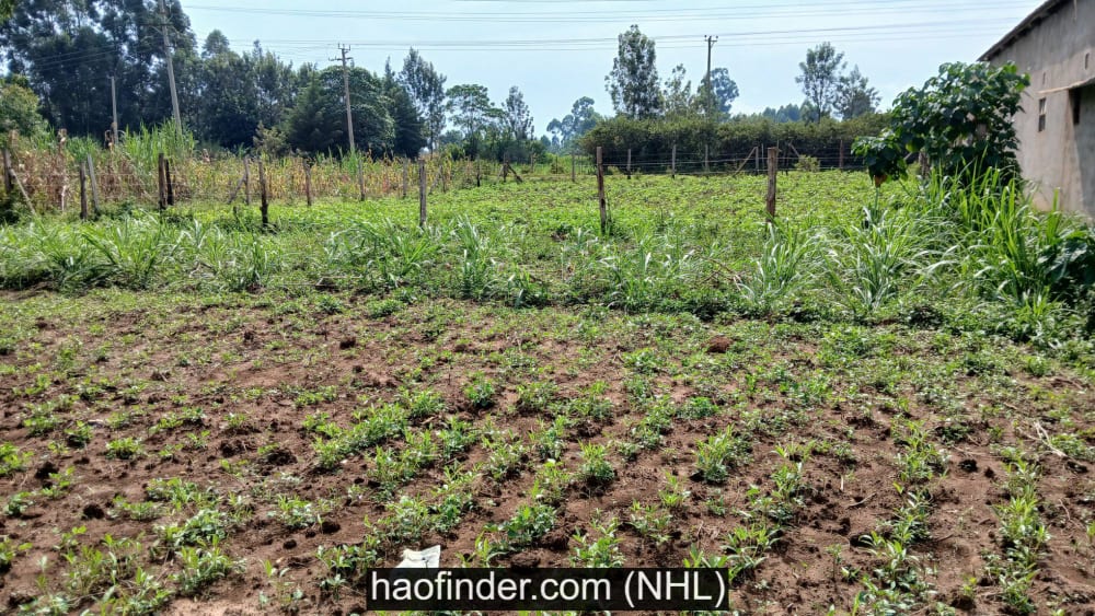 Land for sale in Bukembe market - Bungoma county