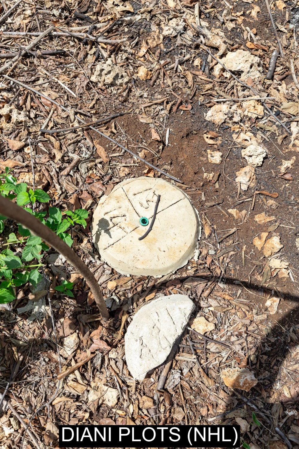 Land for sale in Diani