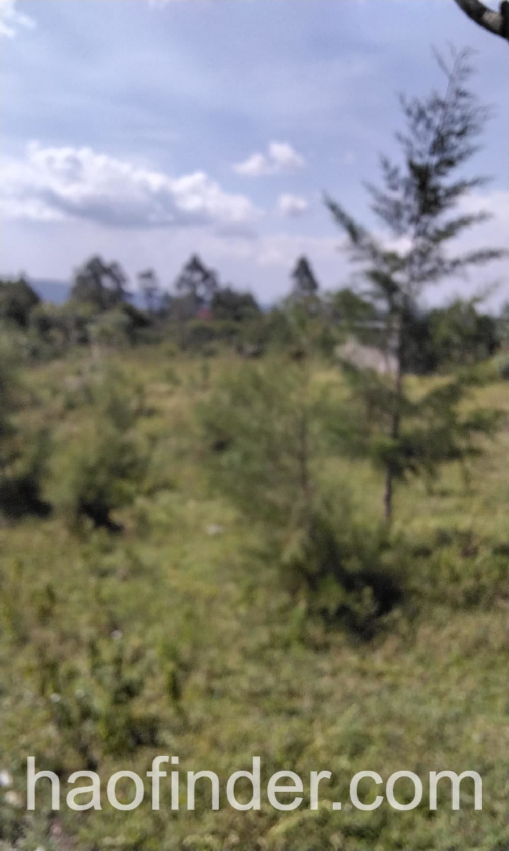 land_plot for sale in Bungoma