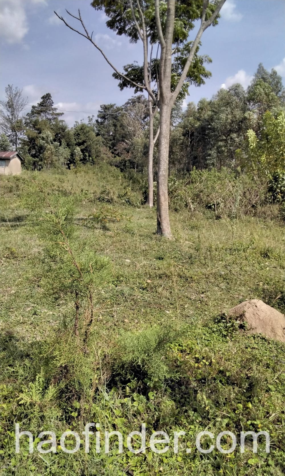 Land for sale in Bungoma