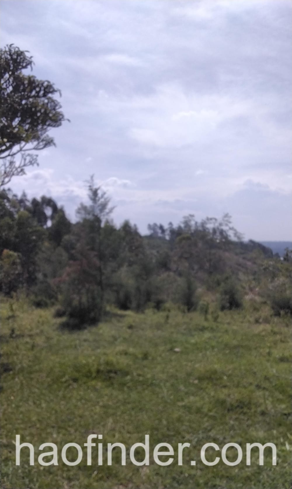 Land for sale in Western Kenya