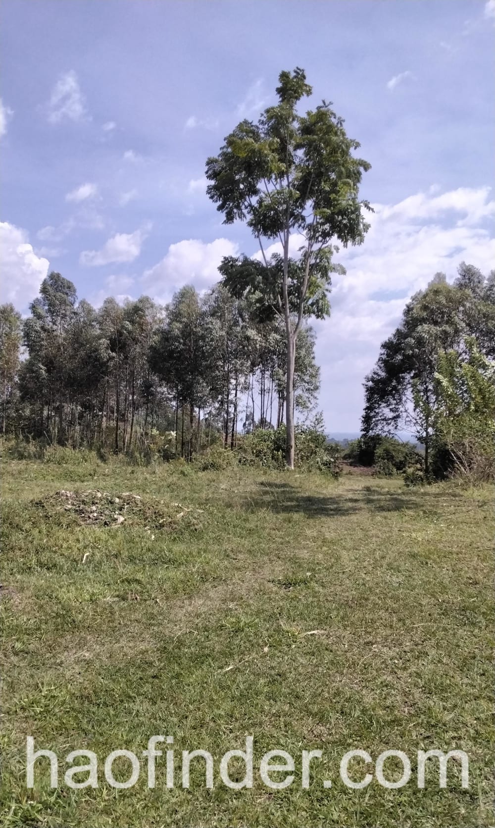 Land for sale in Bungoma