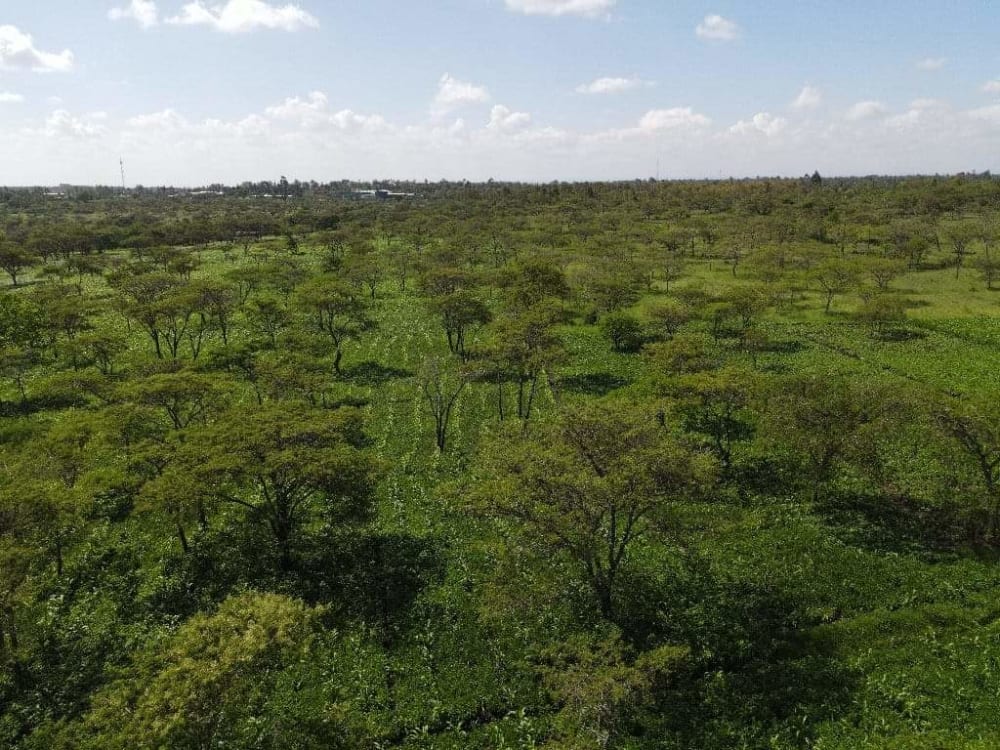 Land for sale in Kabati near Kenol