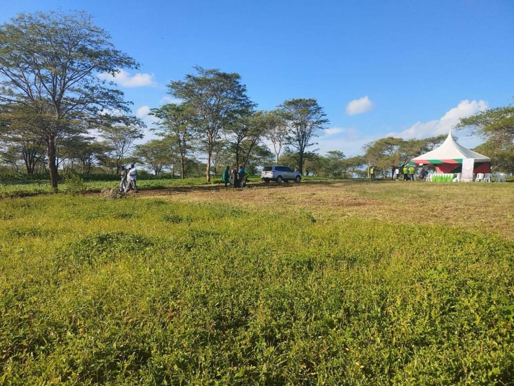 Land for sale in Kabati near Kenol
