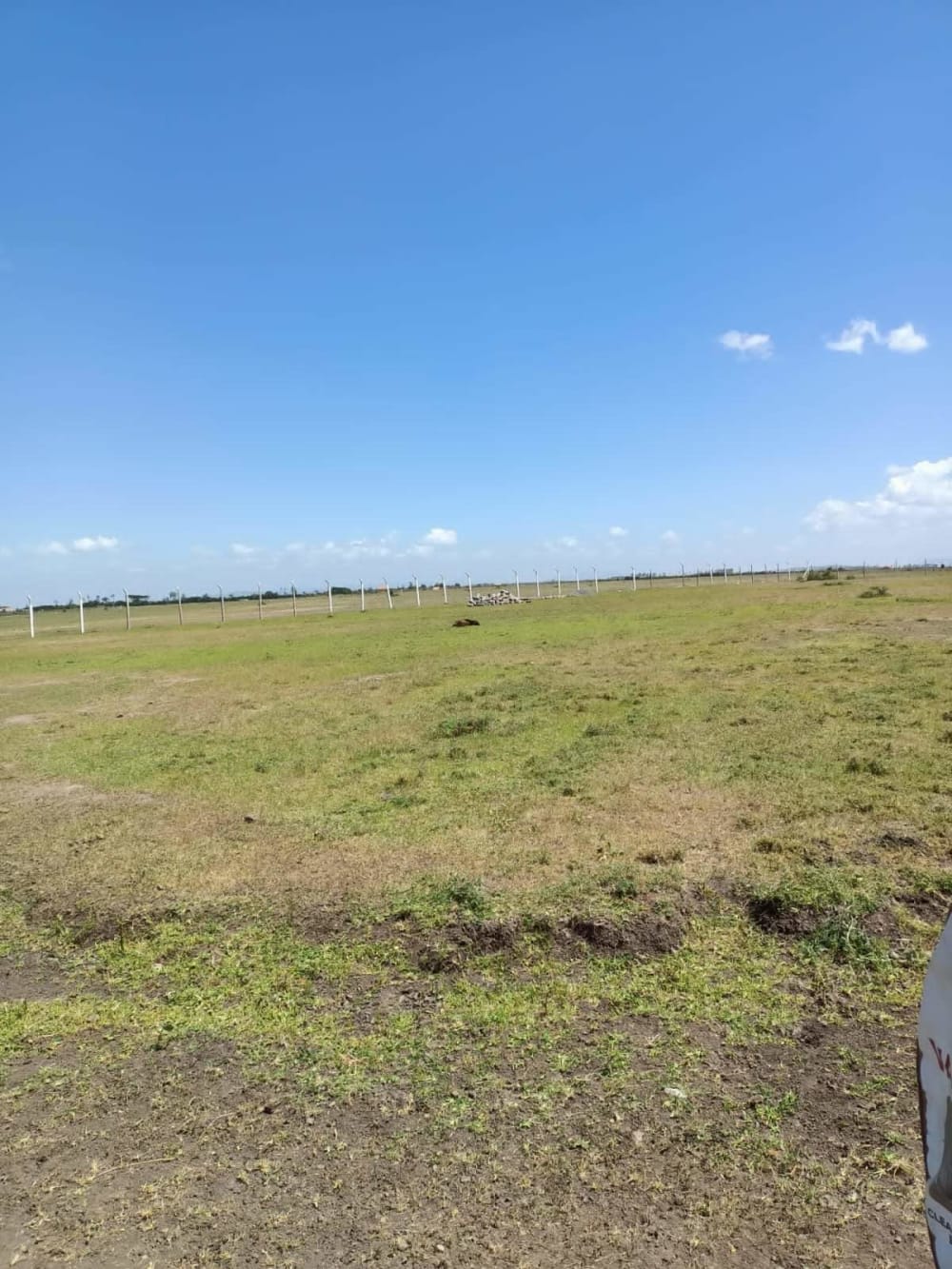Land for sale in Mlolongo