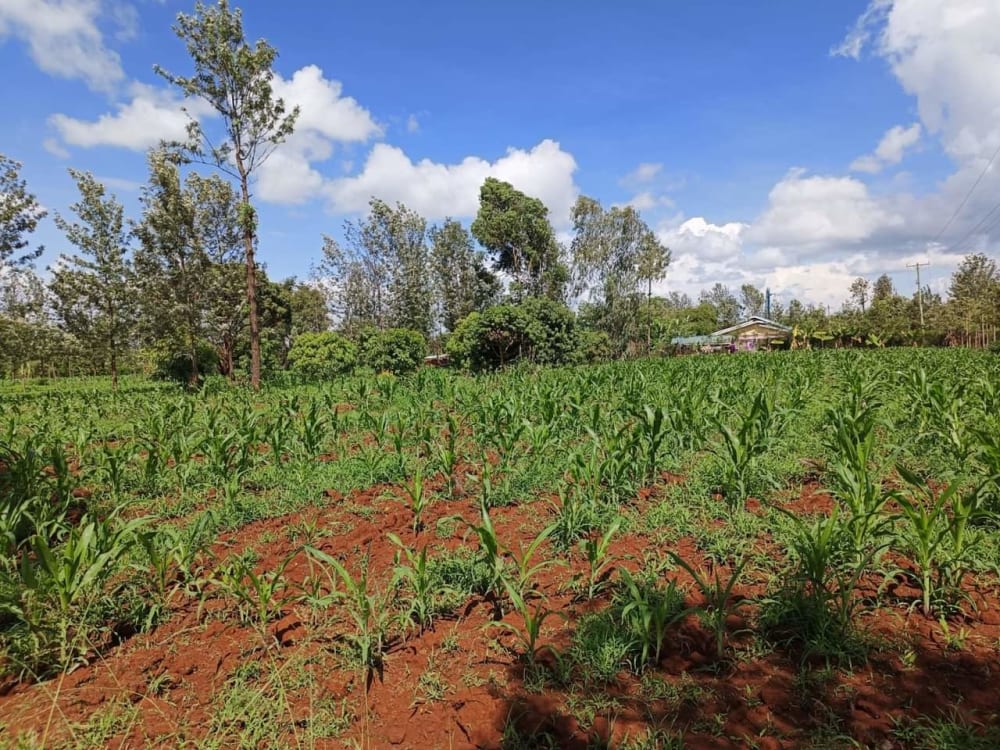 Land for sale in Makutano - Embu Highway