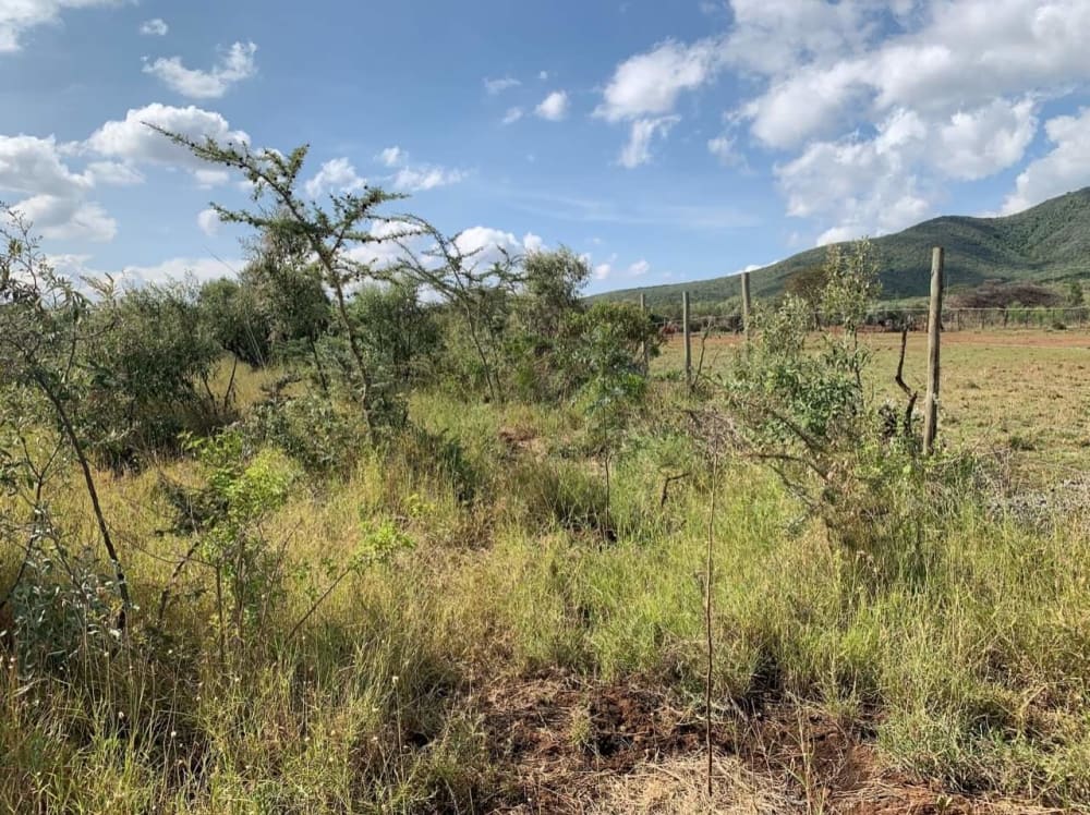 Land for sale in Kajiado