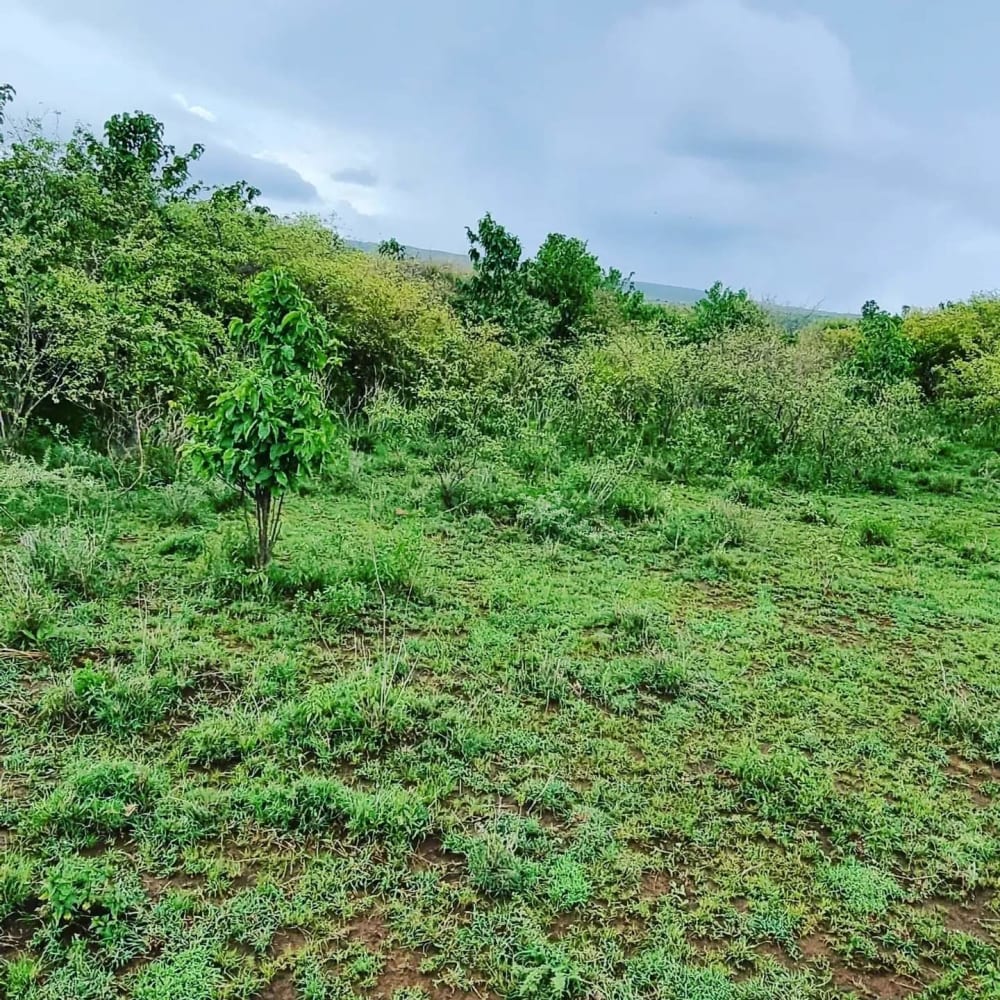 Land for sale in Kajiado